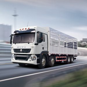 Camion cargo Howo TX 8×4